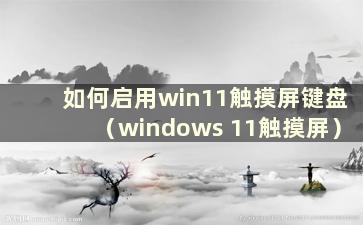 如何启用win11触摸屏键盘（windows 11触摸屏）